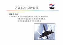 [재무분석] 대한항공과 아시아니항공의 재무비율분석-7
