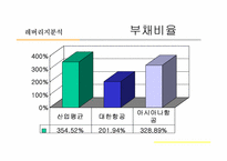 [재무분석] 대한항공과 아시아니항공의 재무비율분석-18