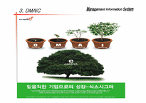 [경영정보시스템] 6시그마에 관해서-18