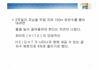 [경영학] HITE 맥주(하이트맥주) 경영정보-18