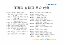 [경영조직론] 하이트맥주 vs OB맥주, 승리전략과 결과 그리고 그 후의 동향-4