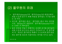 [기업분석] 풀무원 성공요인과 기업조사-5