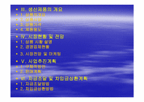 [사업계획서] 이벤트 회사 사업계획서-3