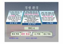 [서비스경영] ‘대한통운택배’ 의 현재위치와 생존전략 및 향후 전망-4