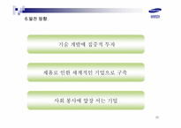 [기업분석] 삼성SDI 기업조사-20
