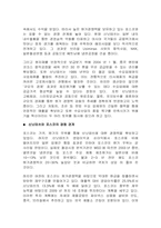 [국제경영] 포스코 POSCO의 해외진출전략-14