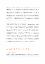 [경영전략] 싸이월드의 커뮤니티서비스 운영전략-9