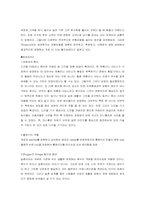 [경영전략] 싸이월드의 커뮤니티서비스 운영전략-15
