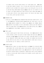 [경영성공사례] 아이리버(iriver) 성공전략-5