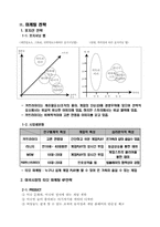 [국제경영] 온라인게임 카트라이더의 미국시장진출방안-10