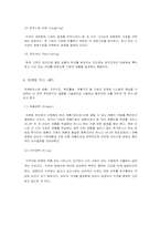 홍진크라운[HJC]마케팅사례분석-2