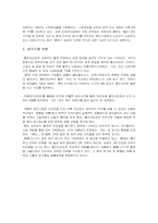 홍진크라운[HJC]마케팅사례분석-9