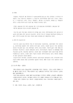 홍진크라운[HJC]마케팅사례분석-13
