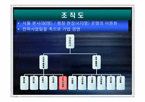 [경영전략] 휘닉스파크 경영전략-13