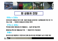 [재무관리] 현대건설 기업재무분석-12