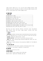 [마케팅성공사례] 카트라이더의 성공사례-5