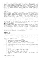 [마케팅] 윤활유의 중국시장 마케팅전략-4