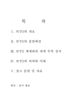 [경제사] WTO의 의의와 미래-2