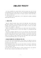 사회과학 산별노조란 무엇인가-1