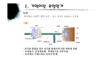 사회과학 우리들에게 기억의 역할-6