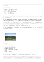 경상남도 마산시 소개-9