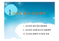 사회과학 러시아 외교정책-3