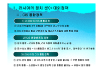 사회과학 러시아 외교정책-10
