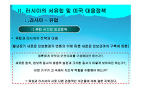사회과학 러시아 외교정책-11