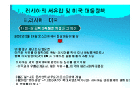 사회과학 러시아 외교정책-13