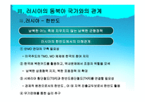 사회과학 러시아 외교정책-17