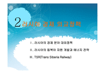 사회과학 러시아 외교정책-18