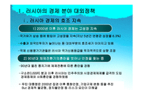 사회과학 러시아 외교정책-19