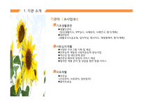 사회복지법인 더모닝 해바라기 더모닝 해바라기 기관소개 더모닝 해바라기 조직구조-9