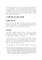 사회과학 아이돌 문화 연구 한 사회의 문화 아이콘으로서의 아이돌 영향 분석-4