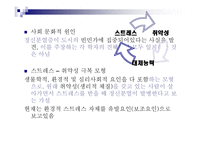 사회과학 정신 분열증-12