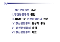 사회과학 정신 분열증-15
