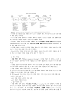 음성장애세미나 3장 음성 음향 분석 개론-6