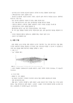음성장애세미나 3장 음성 음향 분석 개론-10