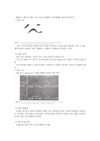 음성장애세미나 3장 음성 음향 분석 개론-19