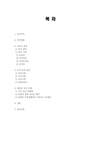 옷과 문화 옷과 문화 연구-2