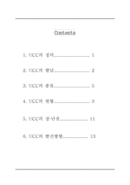 사회과학 UCC 레포트-2