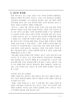 사회과학 UCC 레포트-13