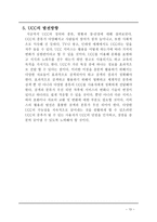 사회과학 UCC 레포트-15