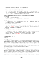 국제보건론 개발도상국의 보건문제 해결을 위한 전략 동티모르의 보건문제 및 해결-10