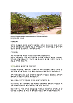 Wellbeing maketh a life 한국의 웰빙 - 일본의 대중 문화-12