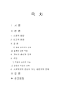 가족복지론 청년기-2