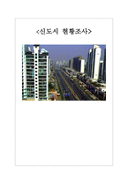 신도시 현황조사 신도시 이론적 개념 신도시 죽전 현황 파악 신도시 죽전 문제점 신도시 죽전 해결방안 신도시 죽전 조사 신도시 죽전 개요 신도시 죽전 소개 신도시 죽전 조사 신도시 죽전-1