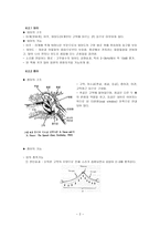 음성장애세미나 제 6 장 음성지각-2