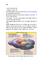 사회과학 한방과 지능와의 관계-10