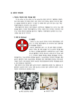사회과학 인종과 서브컬처 에 관한 보고서-4
